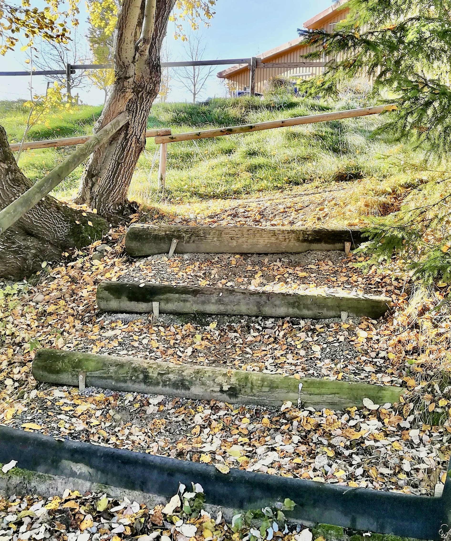 Naturweg mit Holzstufen